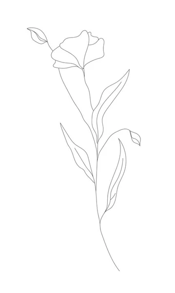 Minimalismo Línea Dibujo Flor Vector Una Línea Arte Botanical Sketch — Vector de stock