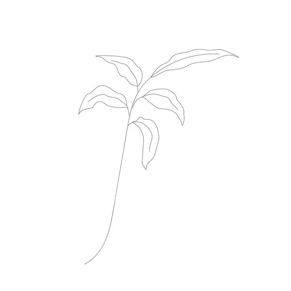 Minimalistisk Ritning Blomma Vektor Linje Konst Botaniska Skiss Vektor Illustration — Stock vektor