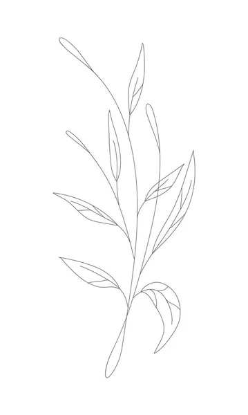 Minimalistisk Ritning Blomma Vektor Linje Konst Botaniska Skiss Vektor Illustration — Stock vektor