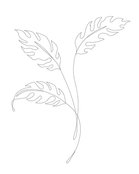 Minimalisme Gambar Garis Bunga Vektor Satu Baris Seni Botani Sketch - Stok Vektor