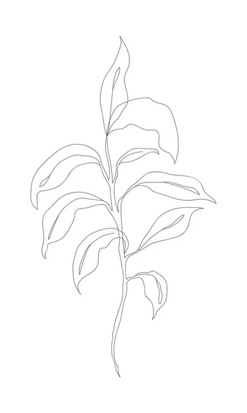 Minimalismo Línea Dibujo Flor Vector Una Línea Arte Botanical Sketch — Vector de stock