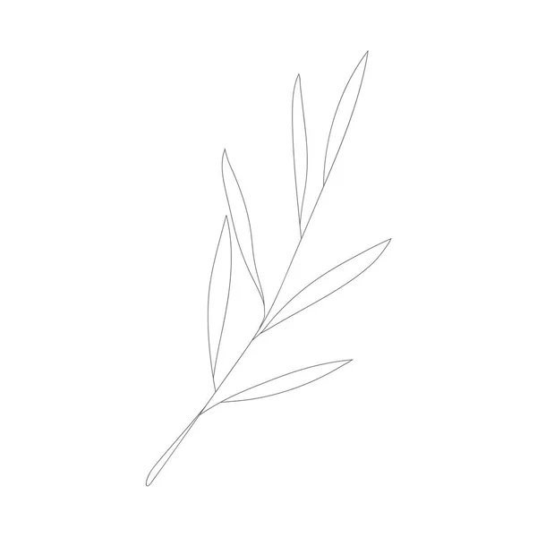 Desenho Linha Minimalista Flor Vetor Uma Linha Arte Esboço Botânico — Vetor de Stock