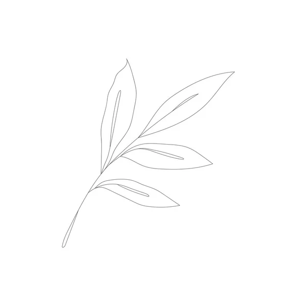 Minimalistische Linienzeichnung Blumenvektor Eine Zeile Kunst Botanical Sketch Vector Illustration — Stockvektor