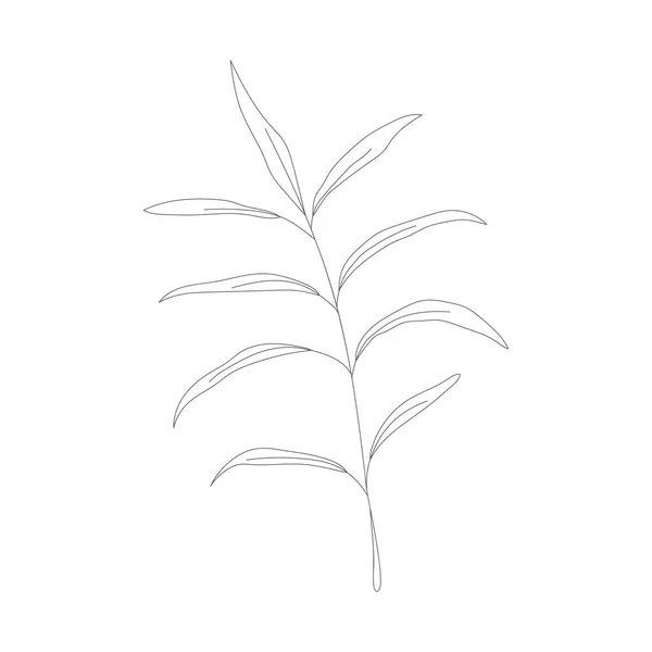 Minimalismo Línea Dibujo Flor Vector Una Línea Arte Botanical Sketch — Vector de stock