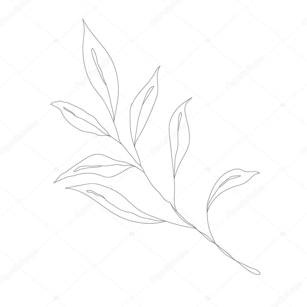 Minimalism line drawing. Flower vector one line art. Botanical Sketch Vector Illustration. Nature vector Line drawing.