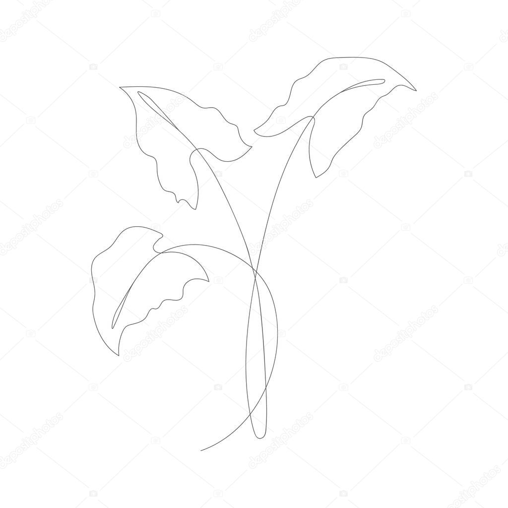 Minimalism line drawing. Flower vector one line art. Botanical Sketch Vector Illustration. Nature vector Line drawing.