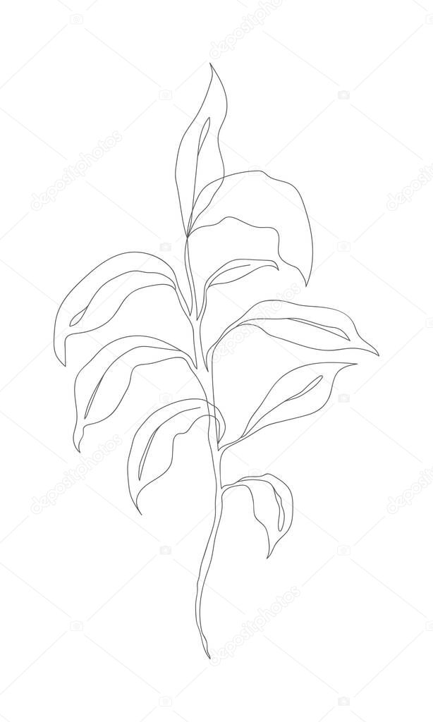 Minimalism line drawing. Flower vector one line art. Botanical Sketch Vector Illustration. Nature vector Line drawing.