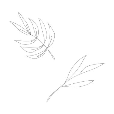 Minimalizm çizimi. Çiçek vektör bir çizgi sanatı. Botanik Taslak Vektör Çizimi. Doğa vektörü çizimi.
