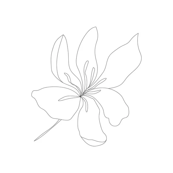 Minimalistické Kreslení Hranic Květinový Vektor Jedna Čára Art Botanická Kresba — Stockový vektor