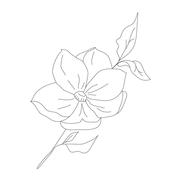 Minimalistisk Ritning Blomma Vektor Linje Konst Botaniska Skiss Vektor Illustration — Stock vektor