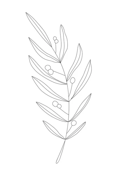 미니멀리즘의 선그리기 Flower Vector Line Art Botanical Sketch Vector Illustration — 스톡 벡터