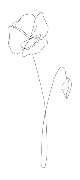 Desenho Linha Minimalista Flor Vetor Uma Linha Arte Esboço Botânico —  Vetores de Stock