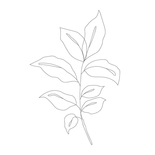 Minimalistisk Ritning Blomma Vektor Linje Konst Botaniska Skiss Vektor Illustration — Stock vektor