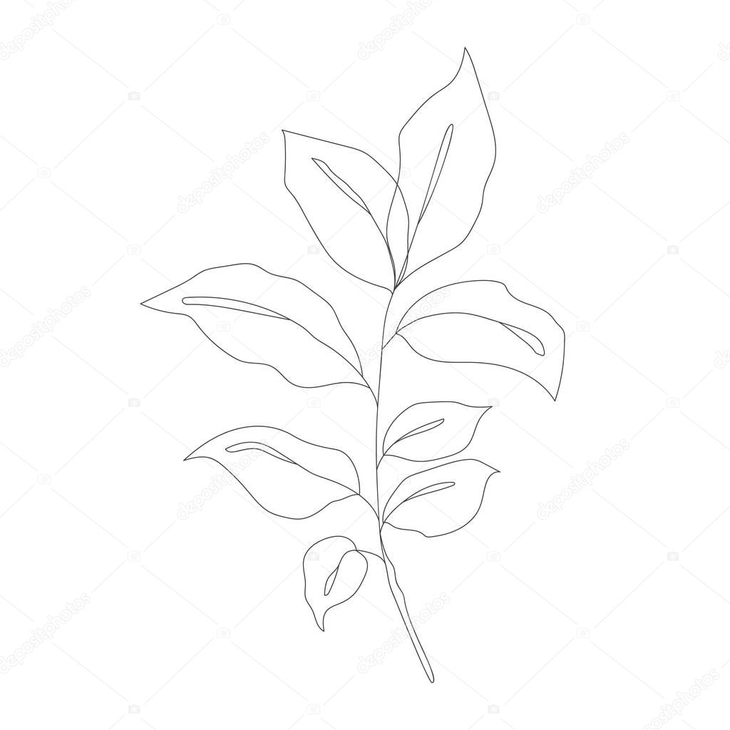 Minimalism line drawing. Flower vector one line art. Botanical Sketch Vector Illustration. Nature vector Line drawing.