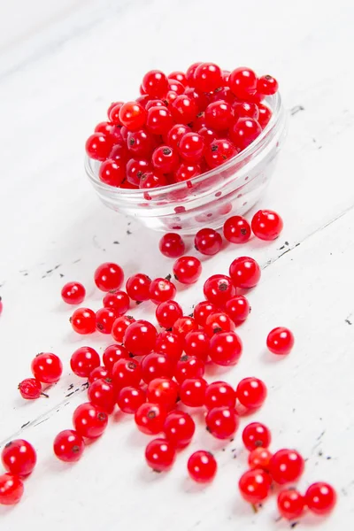 Bayas de grosella roja sobre fondo de madera blanca —  Fotos de Stock