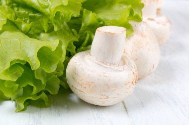 Taze çiğ champignon mantar ve marul