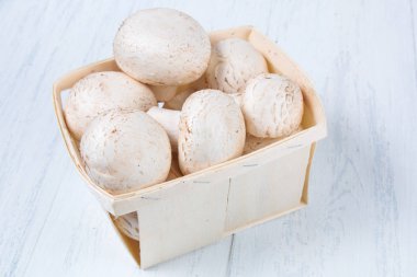 taze çiğ champignon mantar