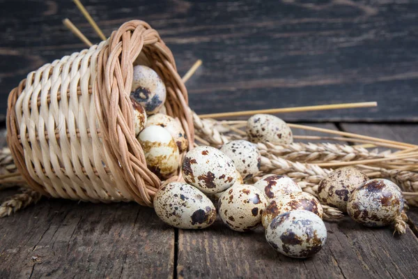 Healthy diet food. Quail eggs in wheat ears. — Stock Photo, Image