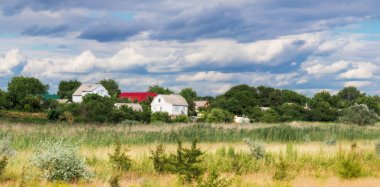 Kasvetli bir gökyüzü altında sazlık ve evler ve ağaçlar ile sarı çim