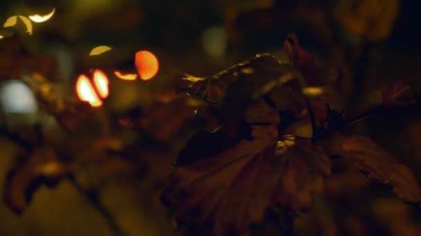 Noche calle de la ciudad con efecto bokeh . — Vídeos de Stock