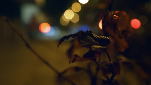 Bokeh etkisi ile Gece şehir sokak. — Stok video