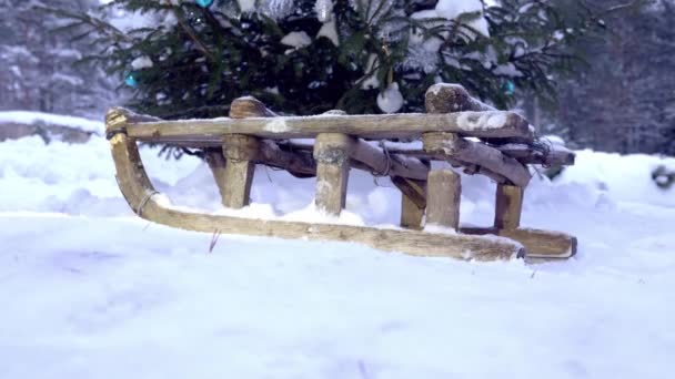 Wooden old sleigh stand on white snow under spruce — Stock video