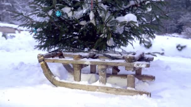 Wooden old sleigh stand on white snow under spruce — Stockvideo