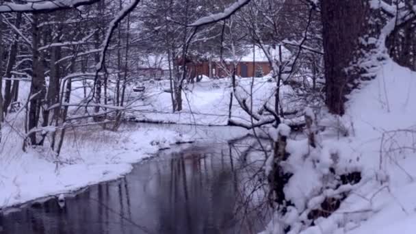 Όμορφο άγριο δάσος με μη παγωμένο ποτάμι που ρέει — Αρχείο Βίντεο