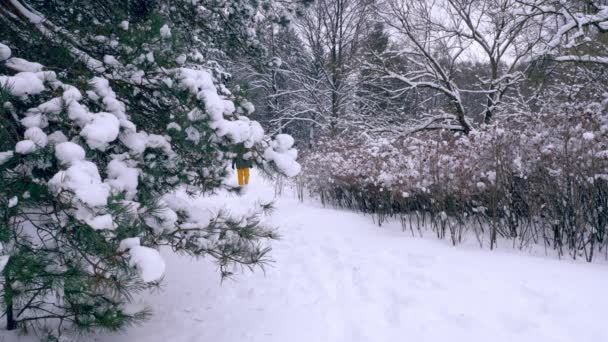 Man en zijn hond lopen in de sneeuw — Stockvideo