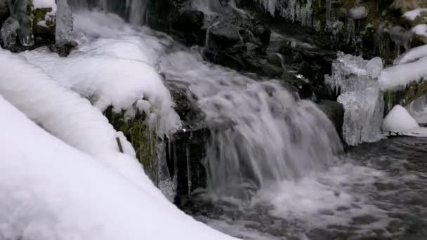 Cascada del bosque en invierno — Vídeo de stock