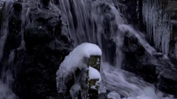 森林瀑布在冬天 — 图库视频影像