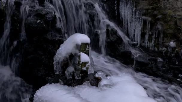 Woud waterval in de winter — Stockvideo