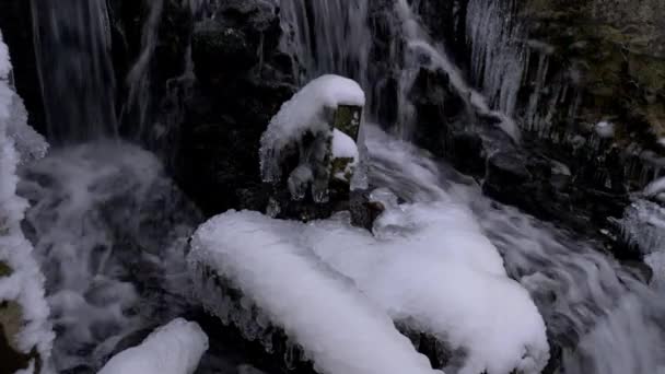 Woud waterval in de winter — Stockvideo