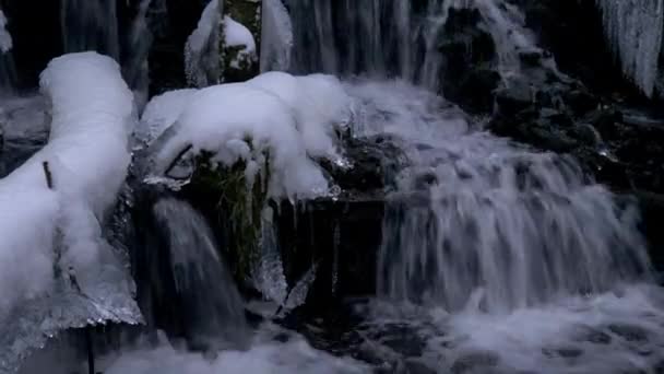 Waldwasserfall im Winter — Stockvideo