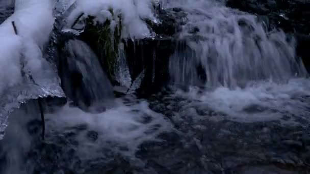 Forest waterfall in winter — Stock Video