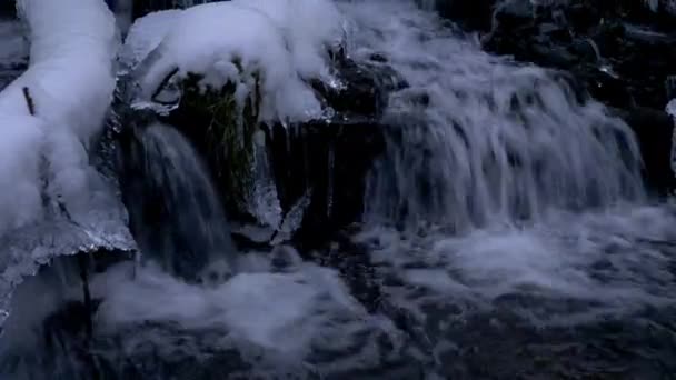 Forest waterfall in winter — Stock Video