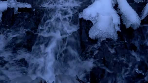 Forest waterfall in winter — Stock Video