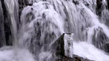 Kışın orman şelale