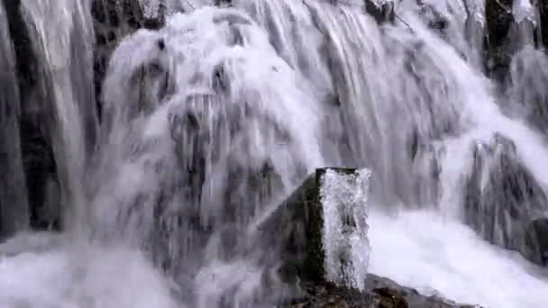 Woud waterval in de winter — Stockvideo