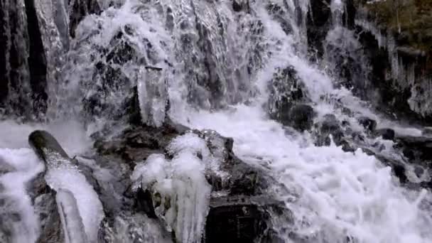 Forest waterfall in winter — Stock Video