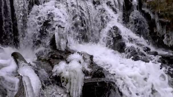 Erdei vízesés télen — Stock videók
