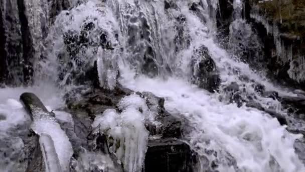 Cascada del bosque en invierno — Vídeo de stock