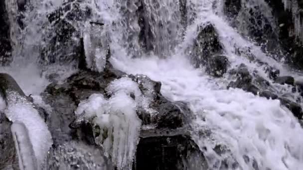 Лісовий водоспад взимку — стокове відео