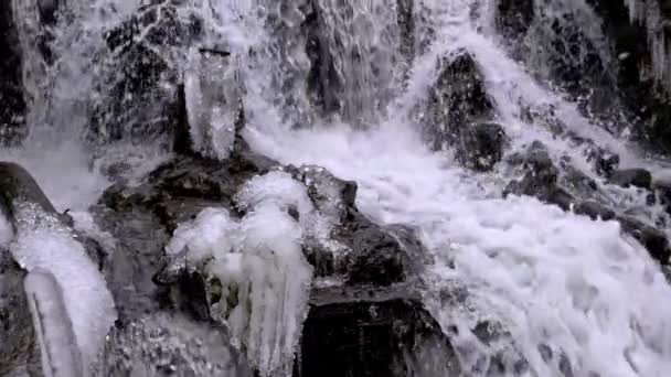 Cascada del bosque en invierno — Vídeo de stock