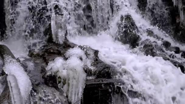 Cascada del bosque en invierno — Vídeo de stock