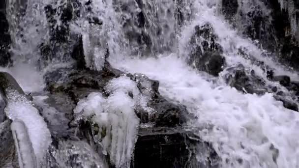 Air terjun hutan di musim dingin — Stok Video