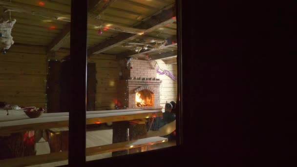 暖炉のそばに座っているカップルと犬 — ストック動画