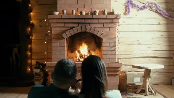 Couple et chien assis près de la cheminée — Video