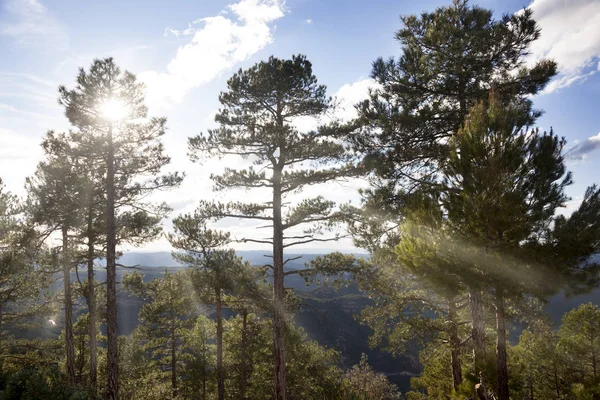 Natuurpark Los Poorten Beceite Spanje — Stockfoto