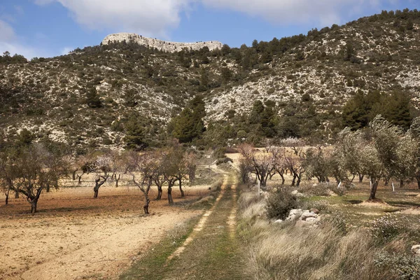 Camino Caixa Beceite España —  Fotos de Stock